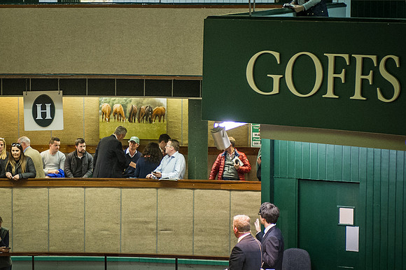 Goffs Orby 2015 -637