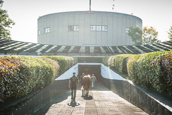 Goffs Orby 2015 -525