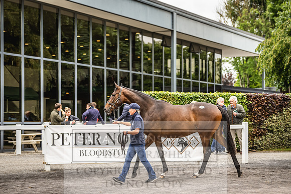 Goffs Land Rover Sale 2022-245