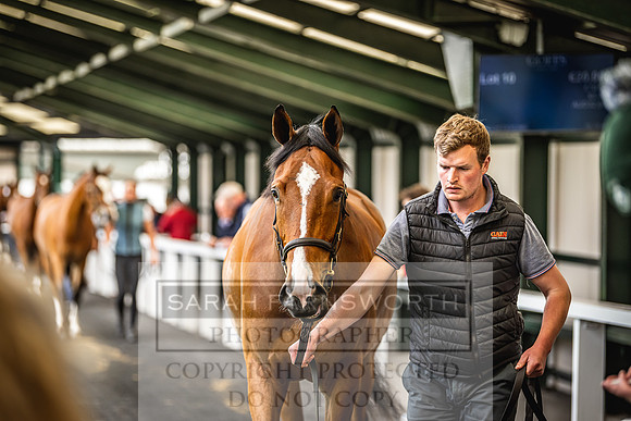 Goffs Land Rover Sale 2022-174