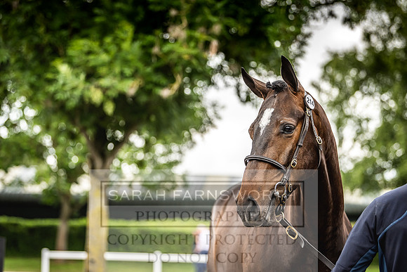 Goffs Land Rover Sale 2022-315