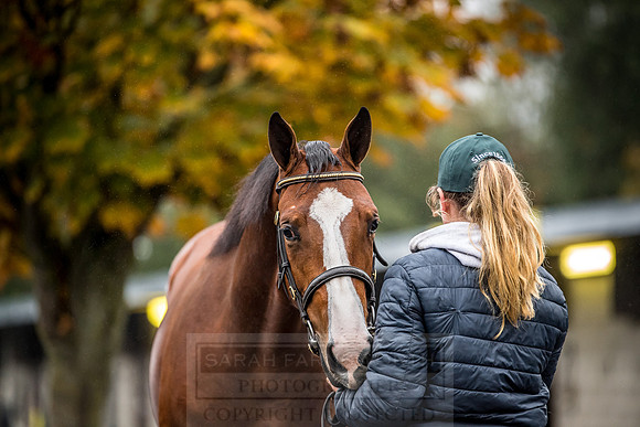 Goffs Orby 2018 Day 1-23