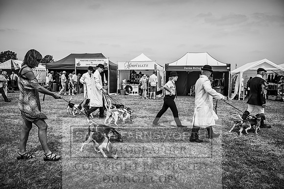 PFoH 2016-286