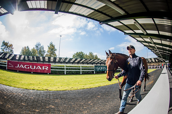 Goffs Orby 2015 -584