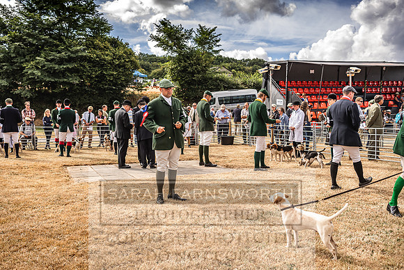 Honiton Hound Show 2022-44