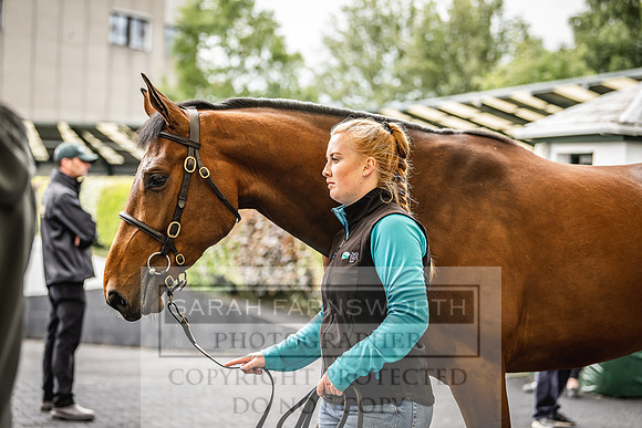 Goffs Land Rover Sale 2022-588