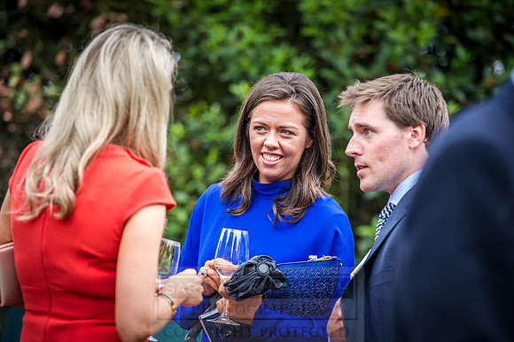 Goffs London Sale 2016-453