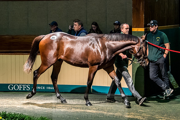 Goffs Orby 2018 Day 2-116