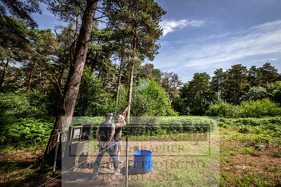 W&G Grimsthorpe Ladies Cup 2025-265