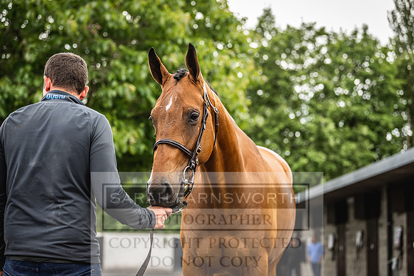 Goffs Land Rover Sale 2022-309