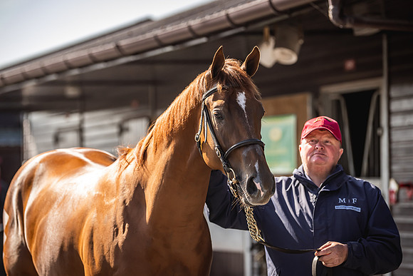 Goffs UK Breeze Up 2022-184