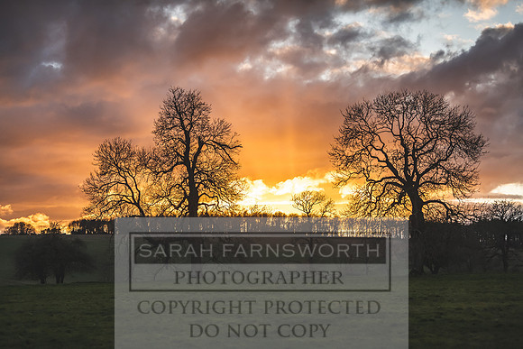 Thurlow at Heythrop 130319-745