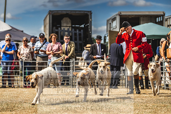 Honiton Hound Show 2022-104