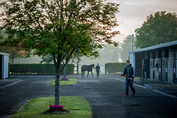 Goffs Orby 2015 -83
