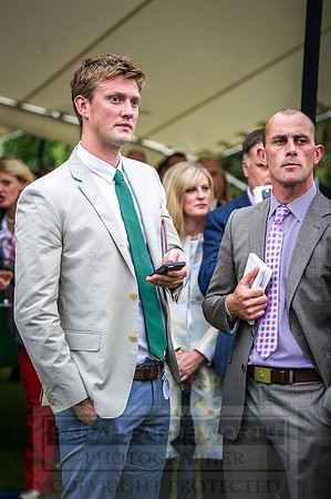 Goffs London Sale 2016-477