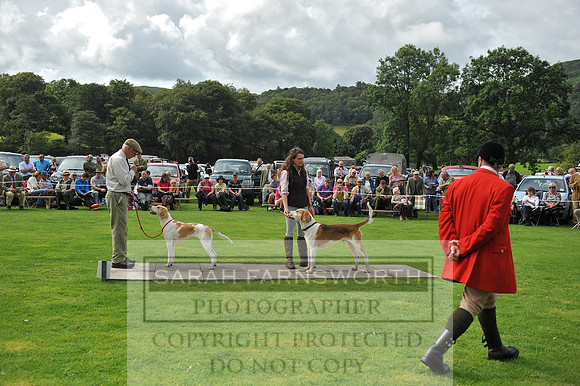 Rydal 2014 CF1 050