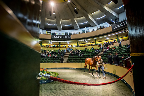 Goffs Orby 2018 Day 1-182