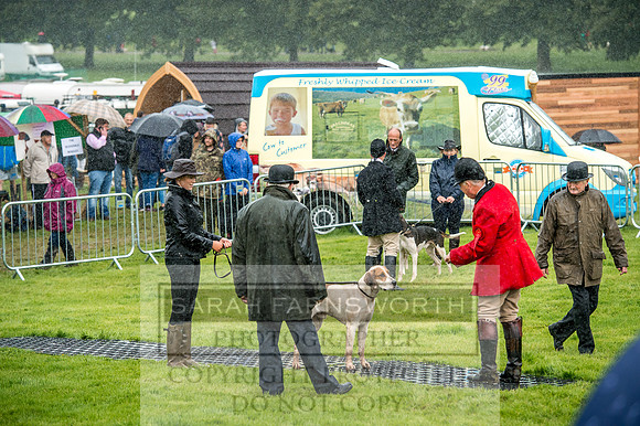 Lowther Hound Show 2017-27