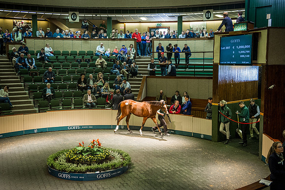 Goffs Orby 2015 -626