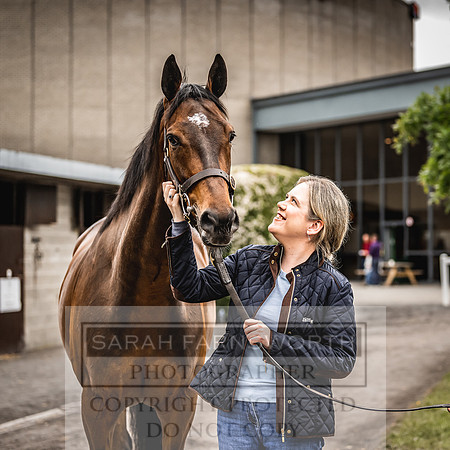 Goffs Land Rover Sale 2022-249