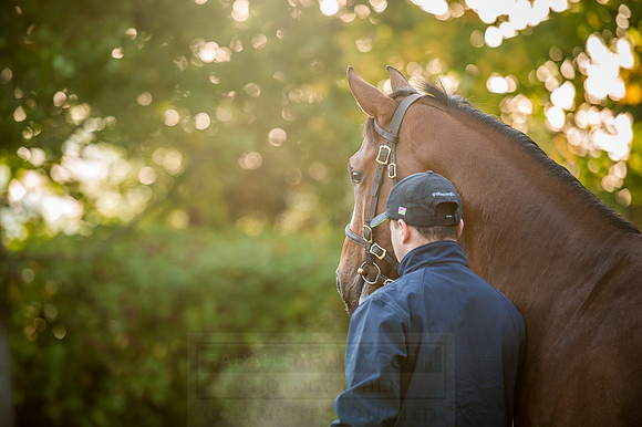 Goffs Orby 2015 -129