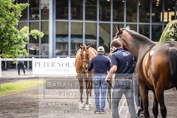 Goffs Land Rover Sale 2022-65