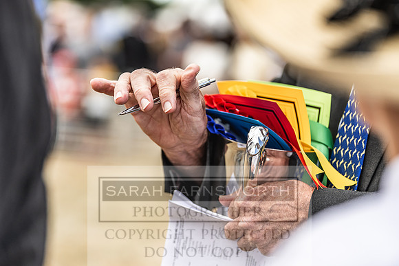 Honiton Hound Show 2022-51