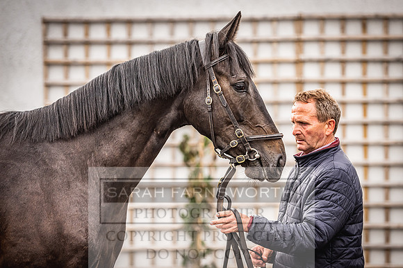 Goffs Land Rover Sale 2022-435