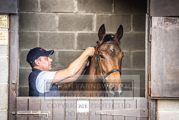 Goffs Land Rover Sale 2022-21