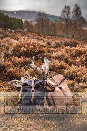Purdey AW21-302