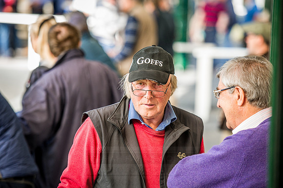 Goffs Orby 2015 -330
