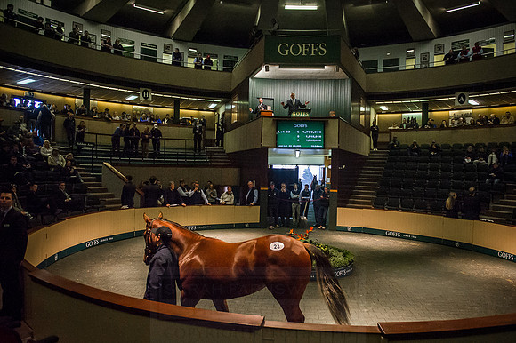 Goffs Orby 2015 -253