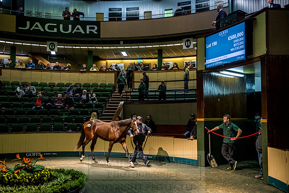 Goffs Orby 2018 Day 1-418