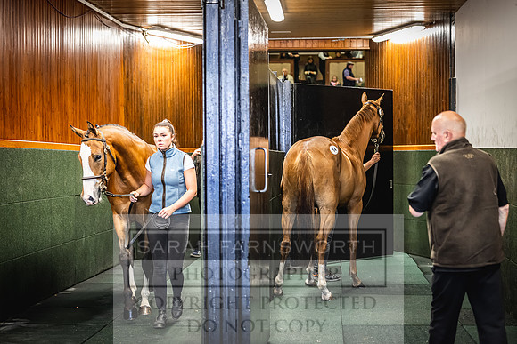 Goffs Land Rover Sale 2022-194