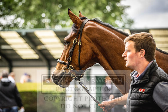Goffs Land Rover Sale 2022-179