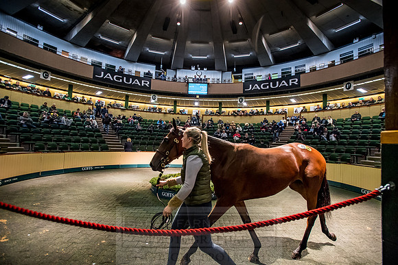 Goffs Orby 2018 Day 1-180