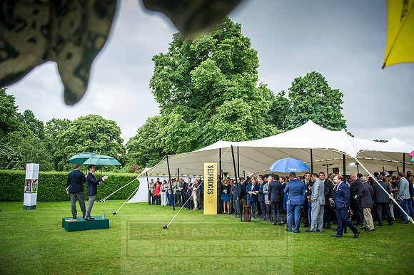 Goffs London Sale 2016-341