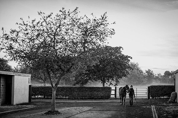 Goffs Orby 2015 -75 bw