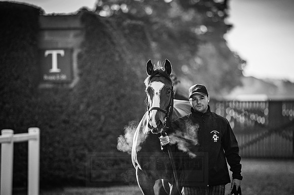 Goffs Orby 2015 -133 bw
