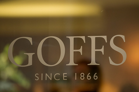 Goffs Orby14 CF1 673
