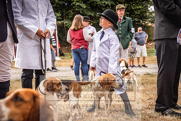 Honiton Hound Show 2022-38