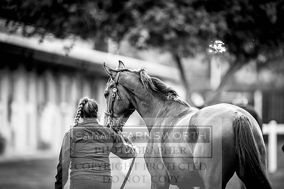 Goffs Land Rover Sale 2022-514
