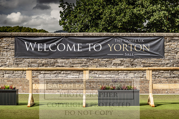 Goffs Yorton Sale 2022-176