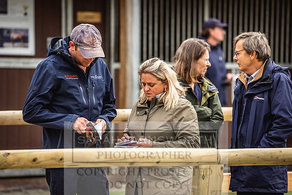 Goffs Yorton Sale 2022-120