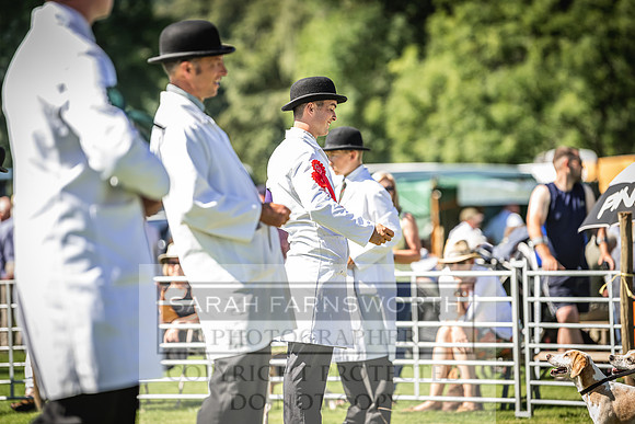 Rydal Hound Show 2022-38