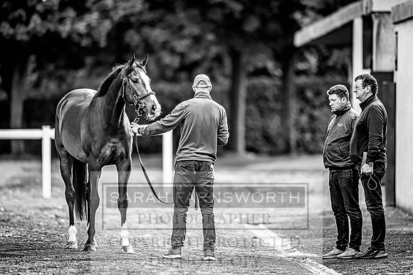Goffs Land Rover Sale 2022-495