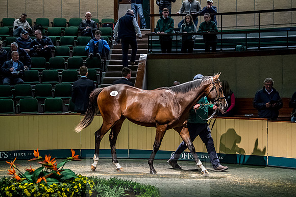 Goffs Orby 2018 Day 1-252