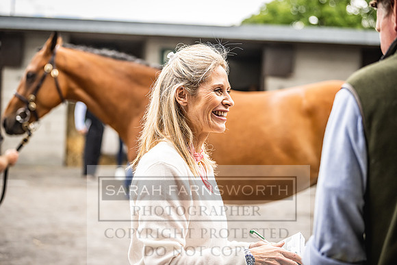 Goffs Land Rover Sale 2022-323