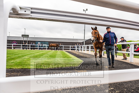 Goffs UK Spring Sale 2024-115