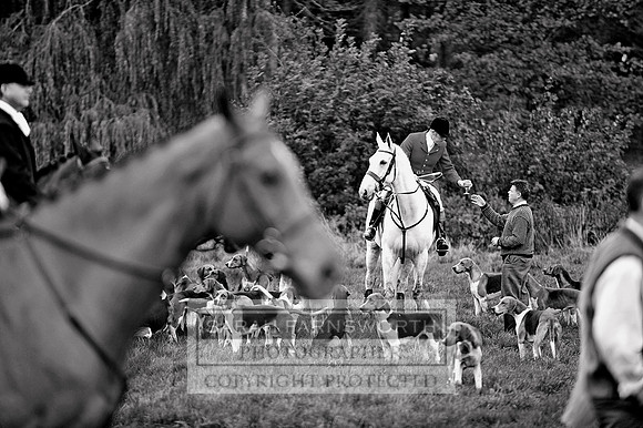 Brocklesby 021113 CF3 392 bw
